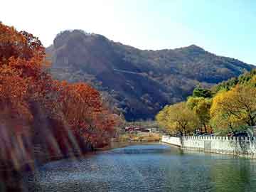 正版澳门天天开彩大全，山樟木